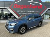Subaru Forester Active LED Kamera AHK Lane Lenkradhzg - Subaru Forester: Active