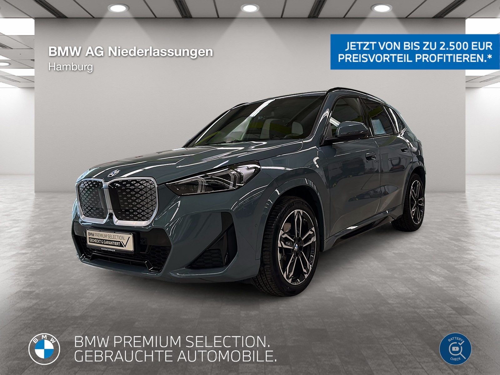 BMW iX1 xDrive30 M Sport AHK Driv.Assist.Prof LED