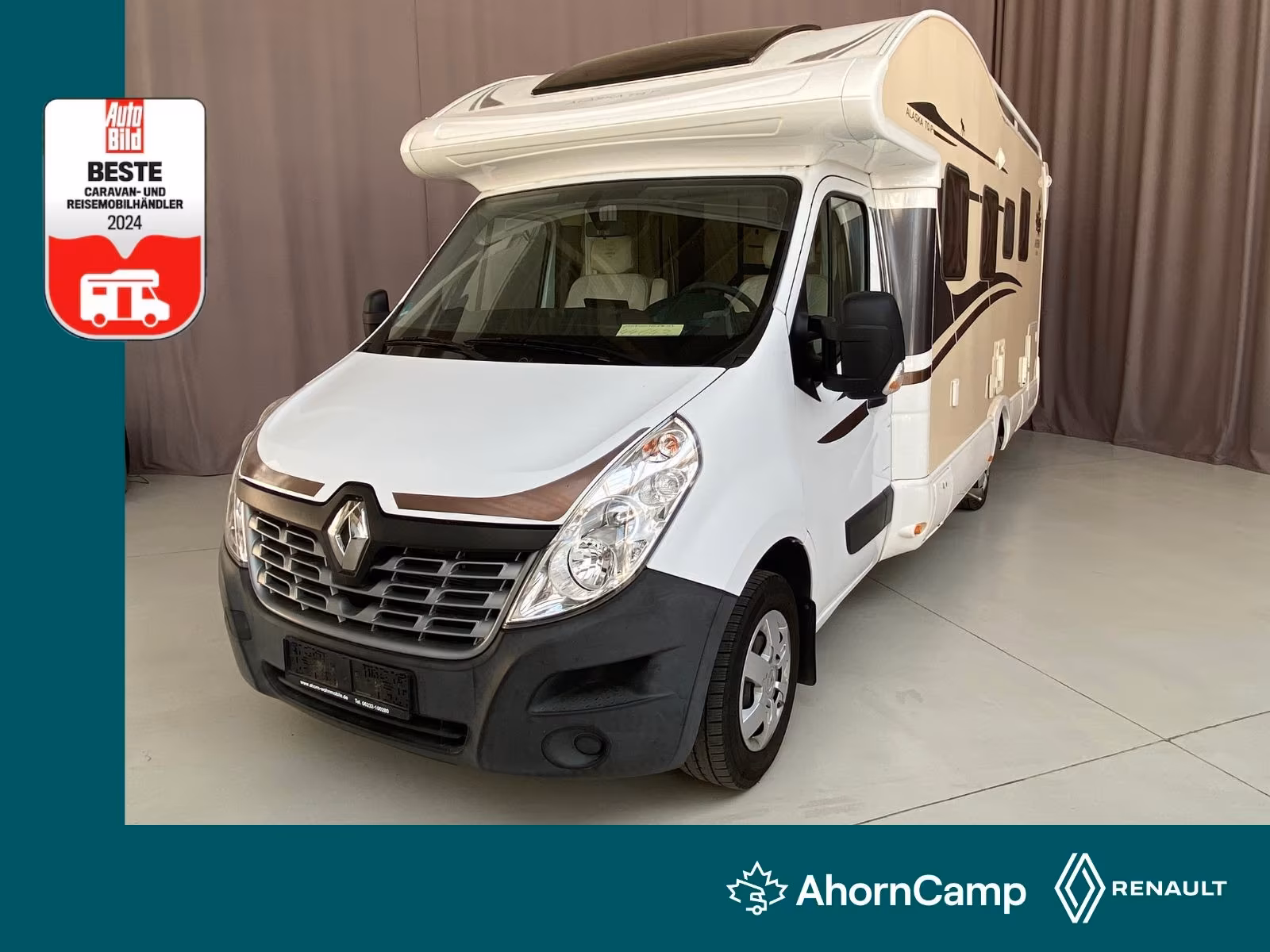 Ahorn Alaska TQ Einzelstück in Speyer