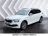 Skoda Kamiq 1.0 TSI CLEVER PDC LED GRA SHZ CLIMATRONIC - Skoda Kamiq Gebrauchtwagen in Berlin