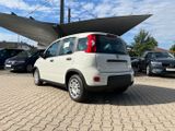 Fiat Panda Neues Modell 1.0 *5 Sitzer Klima PDC DAB* - Fiat Panda: Sitzer
