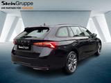 Skoda Octavia Combi 2.0 TDI W Selection AHK ACC Navi - Skoda Octavia New cars mit Diesel-Antrieb: Limousine, 2.0