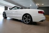 Audi S5 3.0 TFSI S tronic quattro Cabriolet B&O NAVI - Audi S5 Gebrauchtwagen