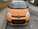 Fiat Panda Easy aus 1. Hand, Klimaanlage, ZV - Fiat Panda in Hagen