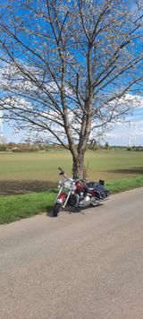 Harley-Davidson Road king classic - Angebote