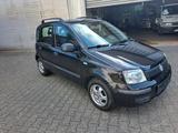 Fiat Panda - Fiat Panda Gebrauchtwagen in Solingen