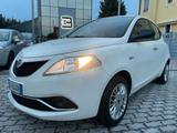 Lancia Ypsilon 1.2 Platinum 69cv NEOPATENTATI - weiße Lancia Ypsilon