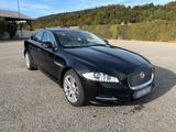 Jaguar XJ Portfolio 3.0 Diesel X351 8fach - Jaguar XJ aus 2013