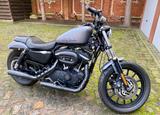 Harley-Davidson XL883R - HARLEY-DAVIDSON 883 R