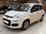 Fiat Panda 1.2 Pop|Klima|Isofix|5 Türer|weiß/&rot| - scheckheftgepflegte Fiat Panda