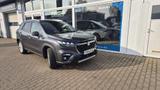 Suzuki S-Cross Comfort AGS - Suzuki SX4 Tageszulassungen