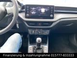 Skoda Fabia LED Scheinwerfer Tempomat Einparkhilfe - gebrauchte Kleinwagen