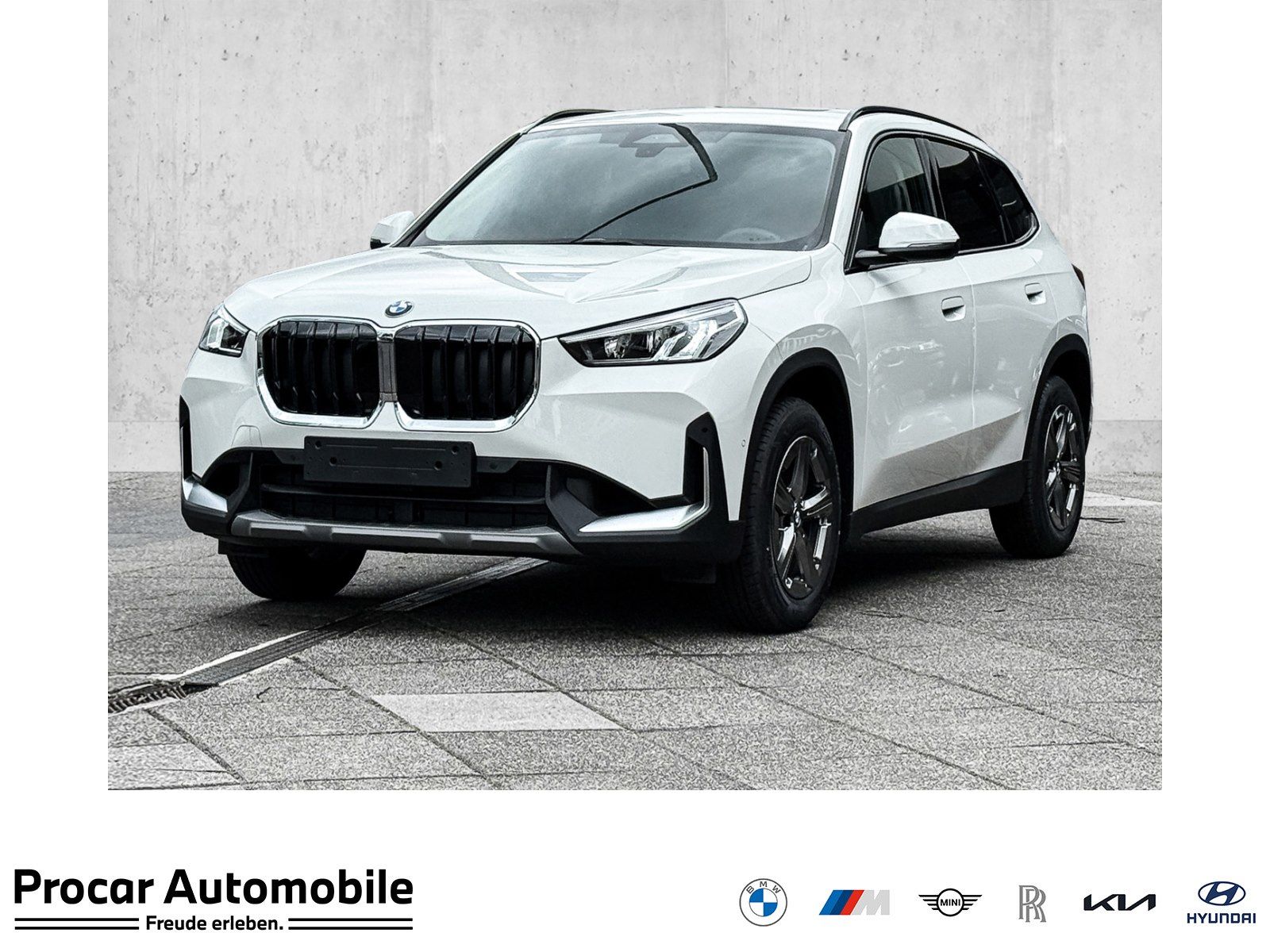 BMW X1 - Bild 1