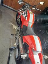 Ducati monster corse sondermodell 1 Hand - DUCATI CORSE
