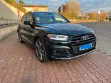 Audi SQ5 TDI tiptronic quattro - - Audi SQ5 in Bielefeld