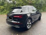 Audi Q5 55 TFSI e S tronic quattro design - Audi Q5 mit Hybrid-Antrieb: Design