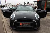 MINI Cooper Cabrio Classic-Trim LED KAM PDC SHZ NAV - MINI Cooper Cabrio Gebrauchtwagen