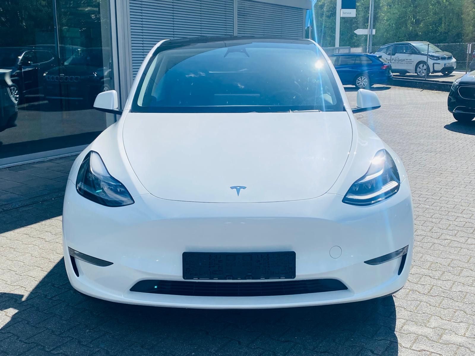 Fahrzeugabbildung Tesla Model Y LR Dual AWD PANO+STDHZ+NAVI+LED+ACC+AHK+