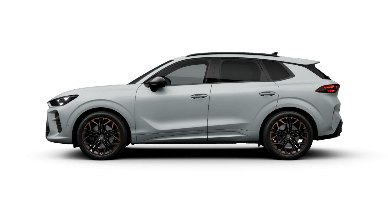 Cupra Terramar - Bild 5