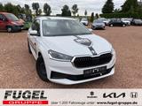 Skoda Fabia 1.0 TSI Tour Winter|LED|Navi - Skoda Fabia Gebrauchtwagen in Chemnitz