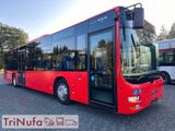 MAN A20 Lions´s City Ü | Klima |Euro 5| 360 PS | - MAN Lions