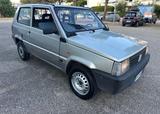 Fiat Panda 900 benzina - Fiat Panda aus 1999