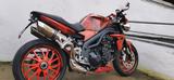 Triumph Speed Triple 1050 mit Gewährl. !!Winterpreis !!! - SPEED TRIPLE