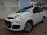 Fiat Panda ,Klima,Servo,HU 06/2027,Winterreifen - gebrauchte Fiat Panda aus dem Jahr 2014