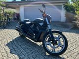 Harley-Davidson VRSCDX Night Rod Special - Offers matching your search criteria