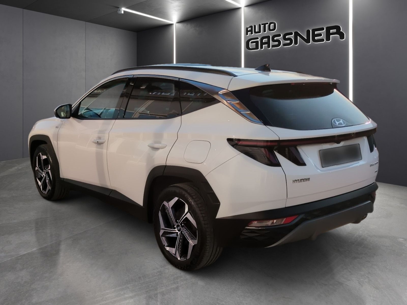 Fahrzeugabbildung Hyundai Tucson 1,6 CRDI Prime DCT 4WD Assip.+ ECS