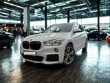 BMW X1 F48 xDrive | M-Paket | LED | Carpla... - BMW X1: F48