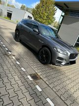 Jaguar F-Pace - Jaguar F-Pace in Dortmund
