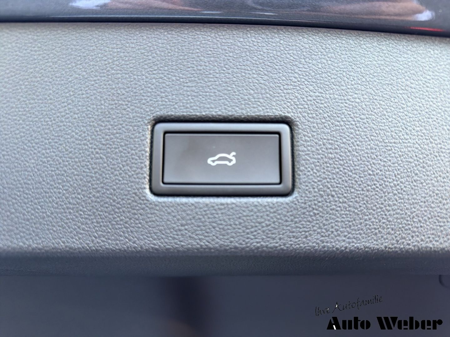 Volkswagen T-Roc - Bild 19