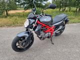 Suzuki Gladius 650 (SFV 650)  - Angebote