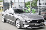 Ford Mustang 5.0 Ti-VCT V8 GT Aut Spoiler* Shelby 20" - Ford: Spoiler