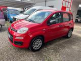 Fiat Panda 1.2 Trussardi - Fiat Panda TRUSSARDI
