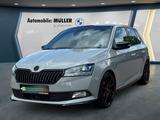 Skoda Fabia 1.0 TSI Monte Carlo (EURO 6d-TEMP) LED Pan - Skoda Fabia: 1.6