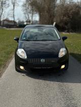 Fiat Punto 1.4 benzin / Panorama / TÜV NEU... - gebrauchte Fiat Punto aus dem Jahr 2007