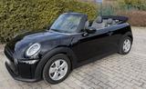MINI Mini Cooper Cabrio Midnight Black metallic - mit Benzin-Antrieb: Cabrio, Metallic