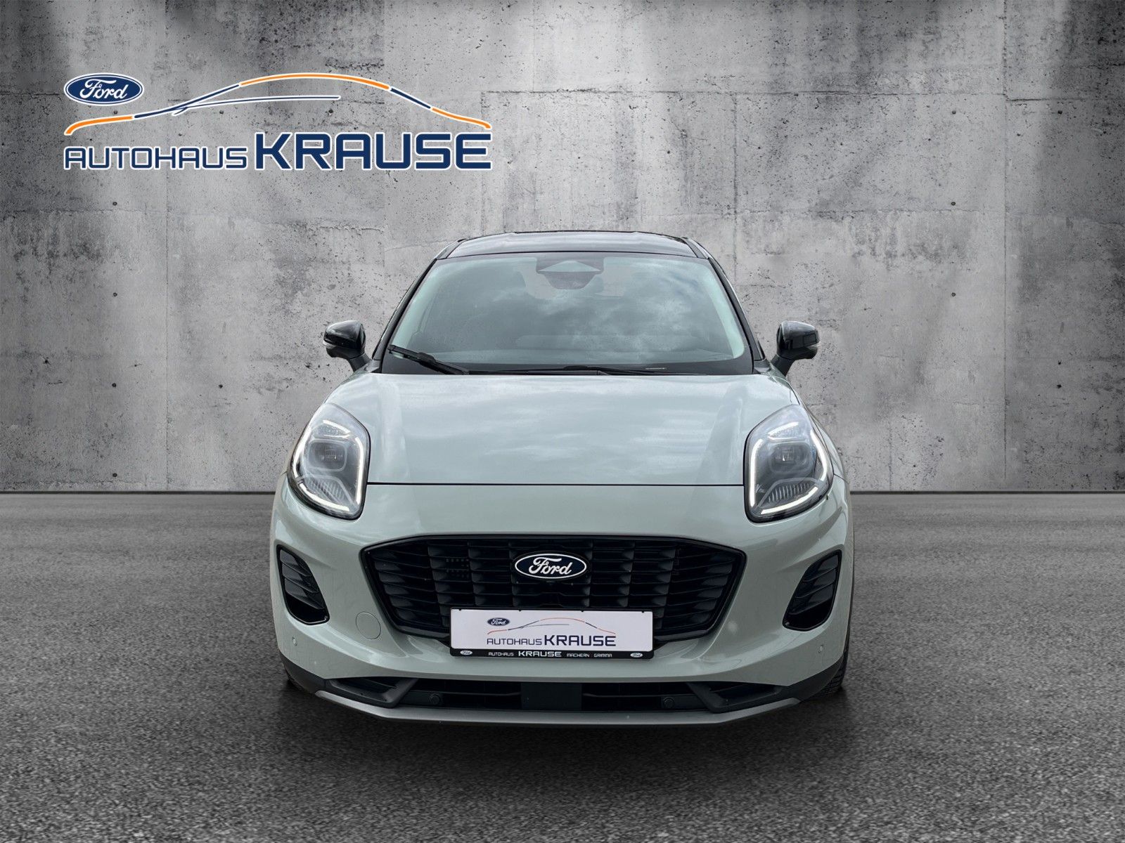 Fahrzeugabbildung Ford Puma Titanium