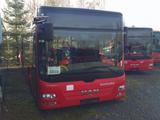 MAN A 20 Lions  City, Deutscher Bus,  ID: 1810 - MAN D20