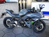 Kawasaki Ninja 650 (Pearl Storm Grey) - Offers matching your search criteria