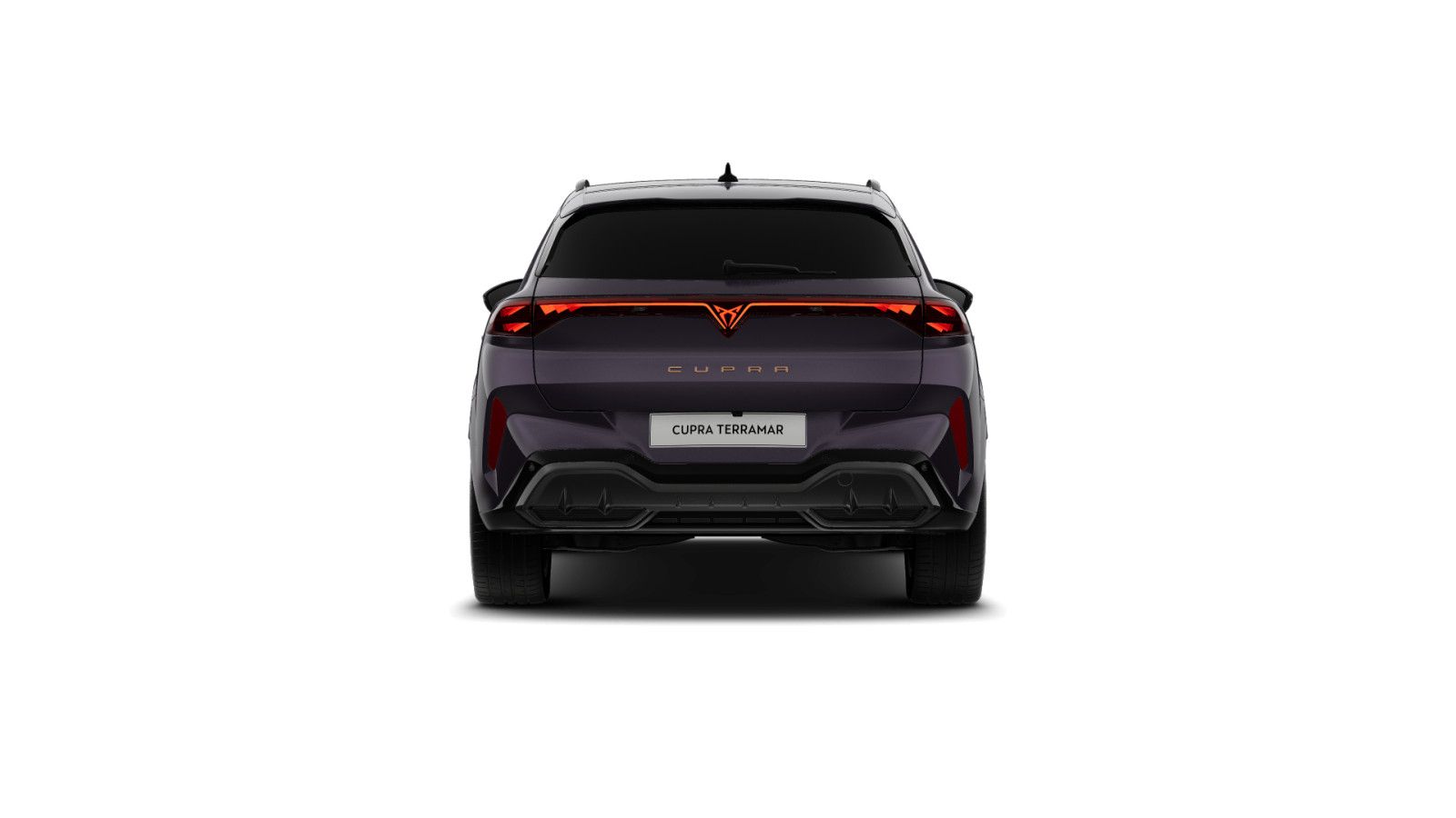 Cupra Terramar - Bild 6