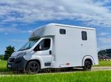 Fiat Ducato Böckmann Compact 2-Pferdetransporter LKW - Offers