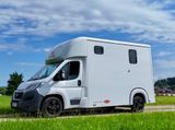 Fiat Ducato Böckmann Compact 2-Pferdetransporter LKW - Angebote entsprechen deinen Suchkriterien