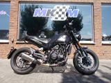 Benelli Leoncino 500 1.Hand - Offers