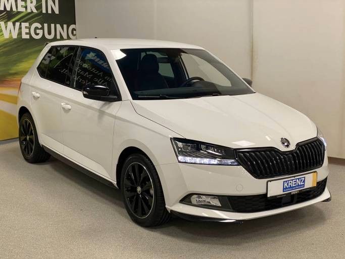 Fahrzeugabbildung SKODA Fabia 1.0 TSI MONTE CARLO+voll LED+16"ALU+KESSY