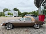 Jaguar E-Type  V12 Serie III Roadster - Jaguar E-Type: Cabrio