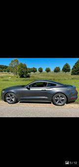 Ford Mustang V6 3,7 Liter - Ford Mustang: V6