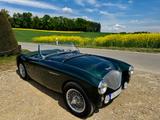 Austin Healey 100M - BN1 - aus 1953 mit Benzin-Antrieb: Cabrio